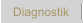Diagnostik